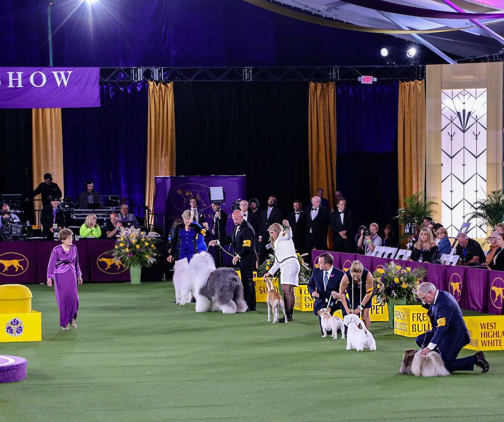 Editorial: June 18, 2021